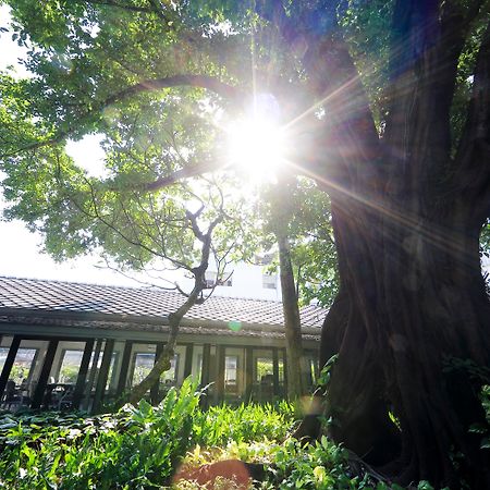 The Raweekanlaya Bangkok Extérieur photo The greenhouse at the University of Washington Botanic Garden