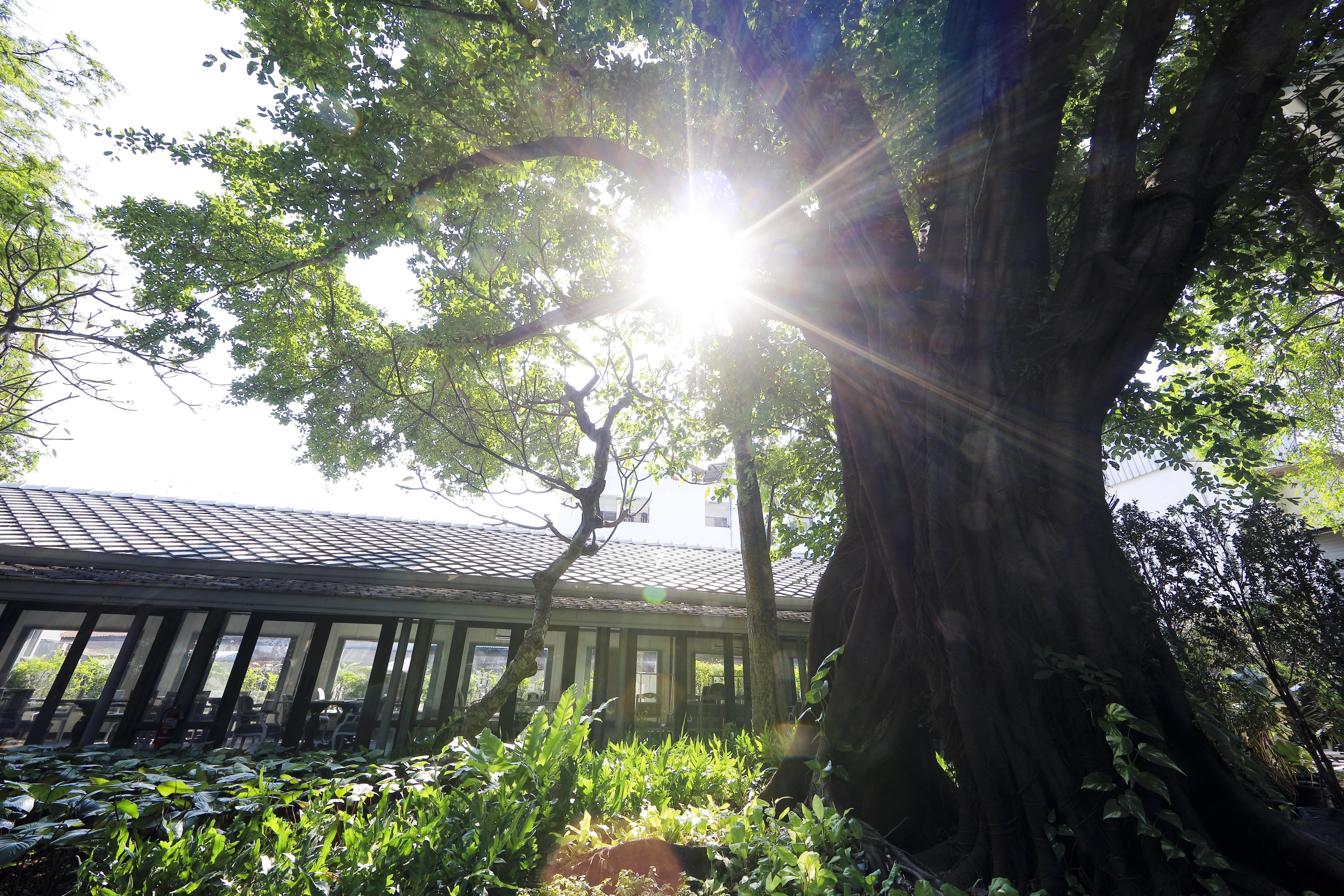 The Raweekanlaya Bangkok Extérieur photo The greenhouse at the University of Washington Botanic Garden